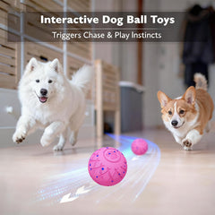 Hipibbo dog ball motion-sensor play keeps dogs engaged without constant supervision.