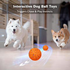 Hipibbo Interactive Dog Ball motion sensor enables unpredictable chasing action.