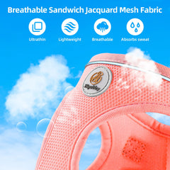Hipubby no-pull harness with two metal D-rings distributes pressure safely.
