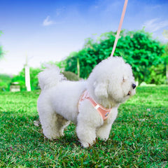 Hipubby pink harness with reflective strips boosts visibility during night walks.