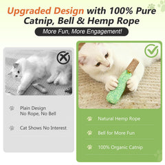 HivaolJoy jingle-bell catnip toy with a playful bell to spark interactive play