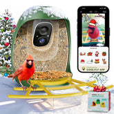 HIXX bird feeder camera streams live 2K video for real-time birdwatching.