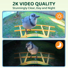 HIXX CoolFly app interface with community features for shared birdwatching.