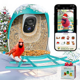 HIXX Smart Bird Feeder camera front view for real-time birdwatching