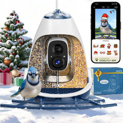 HIXX smart bird feeder camera front view enables real-time backyard birdwatching and sharing.