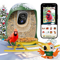HIXX Smart Bird Feeder camera delivers live view for real-time backyard birdwatching.