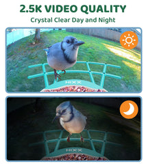 HIXX color night vision reveals nocturnal visitors with clarity