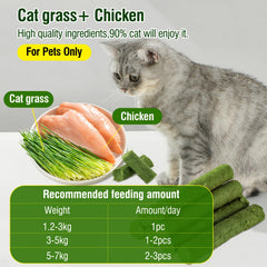 Hkpetie cat grass sticks teething stick—gentle relief and engagement.