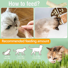 Hkpetie cat grass teething sticks served for a quick crunchy treat and dental care.