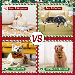 Hlimior dog toy with squeaker and crinkle inside for interactive play