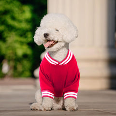 HLJ dog sweater baseball detail showcases sporty style for everyday adventures.