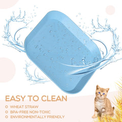 HMDZMR colorful cat bowls pink green beige blue add visual appeal during meals.