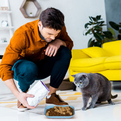 HMDZMR low-wide opening cat bowl eases feeding and simplifies bowl cleaning.
