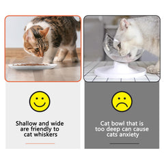 HNeekyr easy-clean dishwasher-safe cat dish shows simple upkeep.