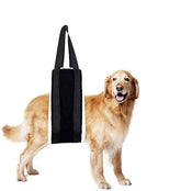 HNYG dog sling on large dog hind-leg support aiding standing and mobility