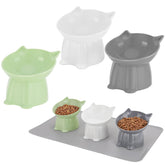 Hoemwarm elevated cat bowls with 15° tilt designed for comfortable dining.