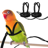 hokable parrot harness front view with bite resistant front chain for safe training