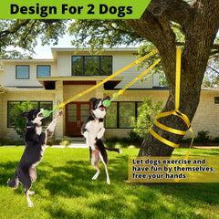 HOKINETY bouncing ball-tug action shows dogs chasing launched toys for repeat engagement