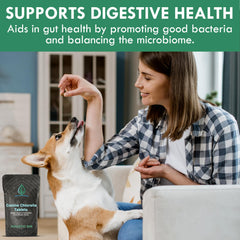 Holistic Bin canine chlorella tablets dog chew demonstrates breath freshening aid during routines.