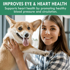 Holistic Bin canine chlorella tablets tablet closeup highlights fermented chlorella for chlorophyll-rich nutrition.