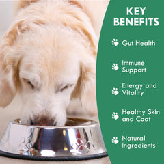 Holistic Bin digestive-enzymes-canine-powder aids feeding-time digestion and nutrient absorption.