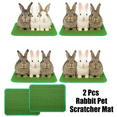 Hollima rabbit-scratcher-mat-green ready for nail and teeth maintenance play.