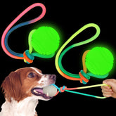 Hollowfly glow ball on rope dog toy for night fetch and visibility