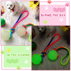 Hollowfly glow-ball rope toy with durable TPR and secure attachment