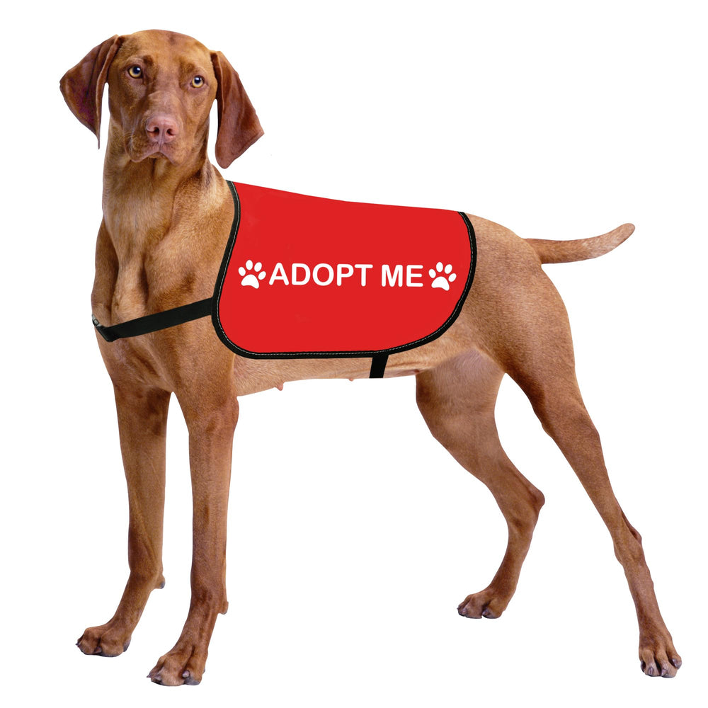 HOLLP Rescue Dog Jacket Adopt ME front view promotes safe visibility during outdoor walks.