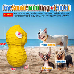 HOLYSTEED small-dog-squeaky-ball-latex demonstrates interactive fetch for tiny breeds indoors.