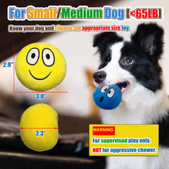 HOLYSTEED Squeaky Dog Ball soft plush material photo emphasizes gentle teeth-safe fabric.