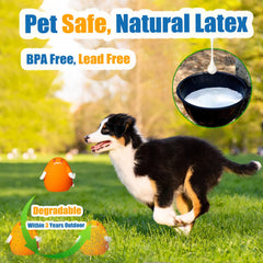 HOLYSTEED squeaky dog toys natural rubber material non-toxic and BPA-free