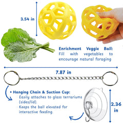 Homedy Crafts bearded dragon feeder ball in action supports mental stimulation during meals.