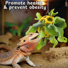 Homedy Crafts suction cups and chains enable versatile attachment on tank walls.