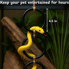 Homedy Crafts ball-python jungle gym enhances climbing and play
