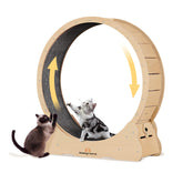 Homegroove Cat Wheel 52inch wooden exercise wheel provides sturdy indoor workout space.