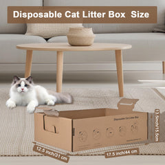 Homegroove disposable litter box assembled-top-view demonstrates quick setup.