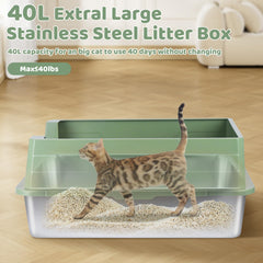 Homegroove XXXL litter box open design allows easy entry and quick scooping.
