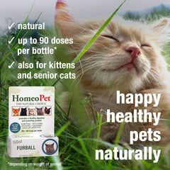 HomeoPet cat all-ages suitability graphic for kittens to seniors.