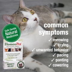 HomeoPet Feline Anxiety Relief dosing options support flexible administration.