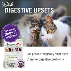 HomeoPet Feline Digestive Upsets dropper enables easy dosing for cats' comfort.