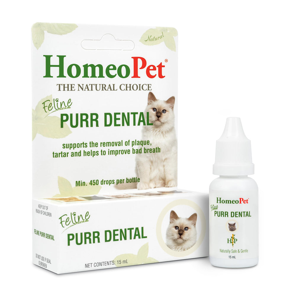 HomeoPet Feline Purr Dental bottle front showing natural dental care support