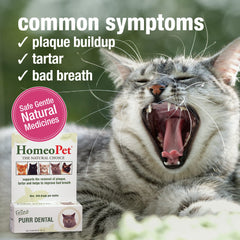 HomeoPet Feline Purr Dental mixed in water for routine oral-health support