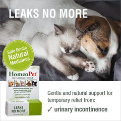 HomeoPet Leaks No More drops-dispense supports simple dosing at meals.