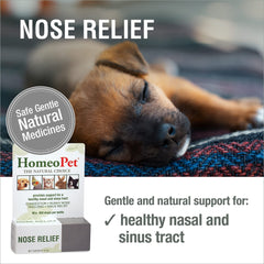 HomeoPet Nose Relief droplet dispensing shows easy dosing for pets