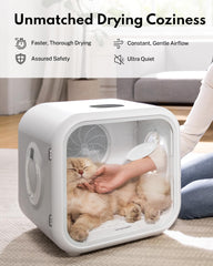 HomeRunPet Cat Dryer interior enabling even airflow to all body areas