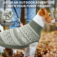 Homimp Argyle dog sweater close-up knit reveals soft acrylic texture