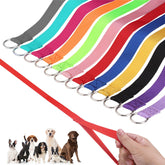 Homimp slip lead 6ft pack12 colors for versatile rescue and training applications