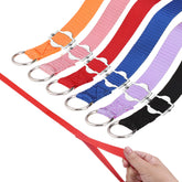 Homimp slip lead dog leash 6ft shows durable nylon for training and rescue scenarios.