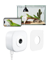 HomiQ reptile camera glass-view shows glare-free aquarium detail.